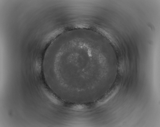 X0000115720402200911121455
