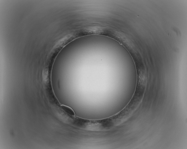 X0000115720403200911121455