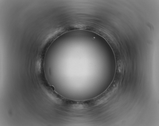 X0000115720404200911121455