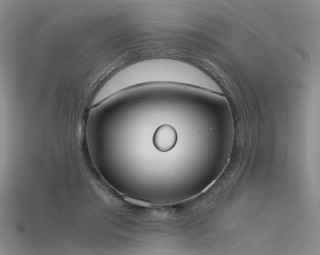X0000115720405200911121455