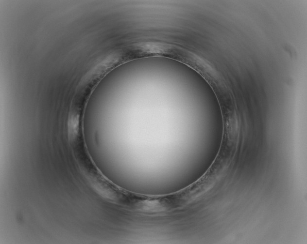 X0000115720406200911121455
