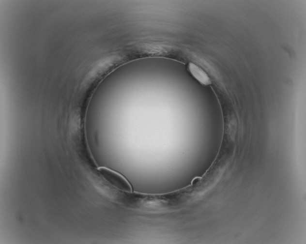 X0000115720407200911121455