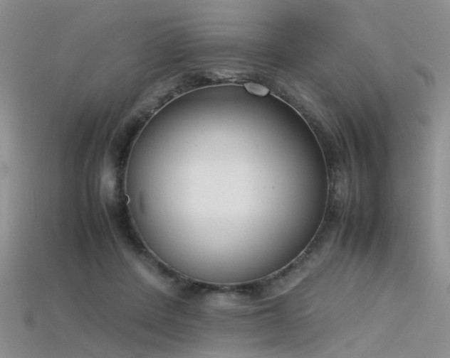 X0000115720408200911121455