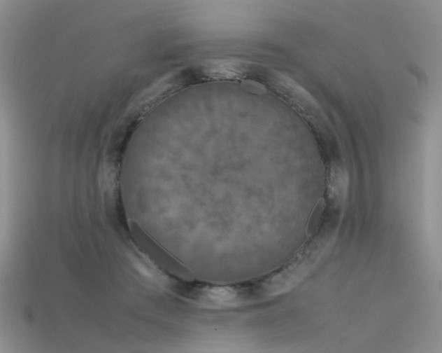 X0000115720409200911121455