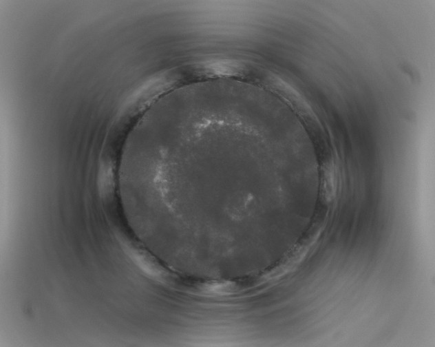 X0000115720410200911121455