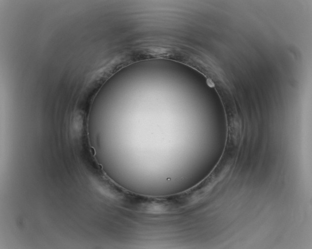 X0000115720412200911121455