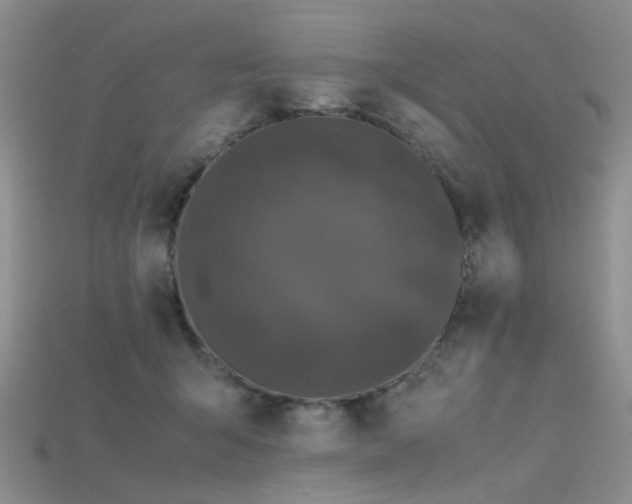 X0000115720415200911121455