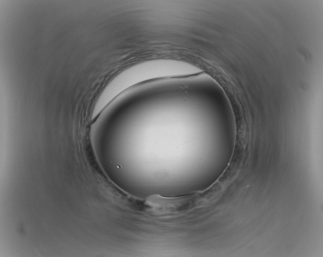 X0000115720417200911121455