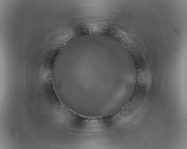 X0000115720419200911121455