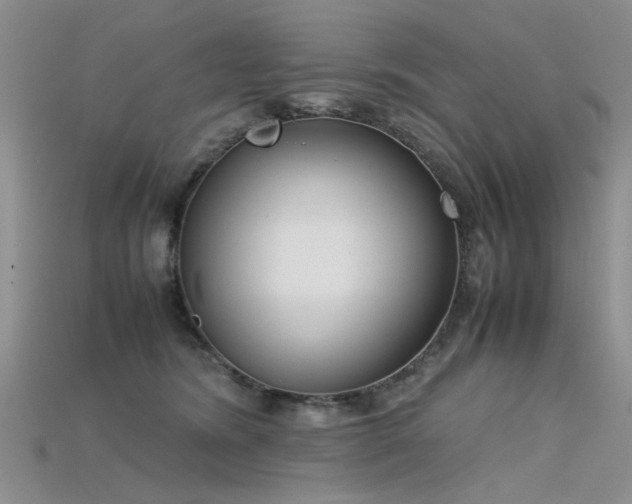 X0000115720420200911121455