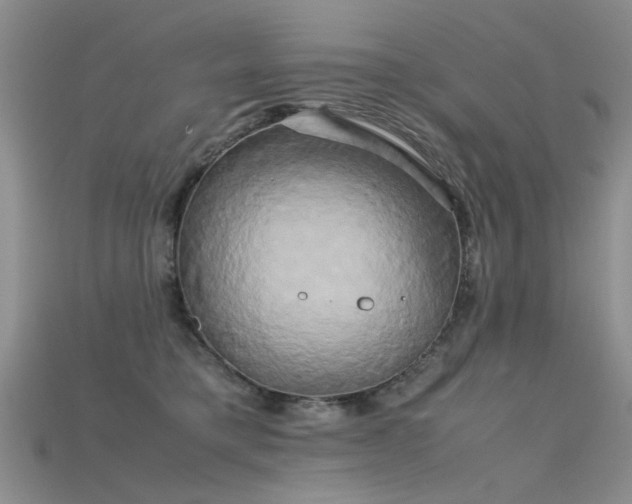 X0000115720421200911121455