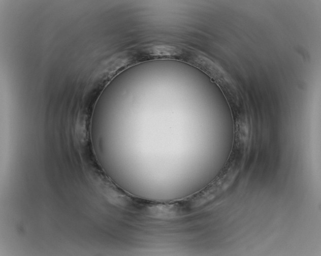 X0000115720422200911121455