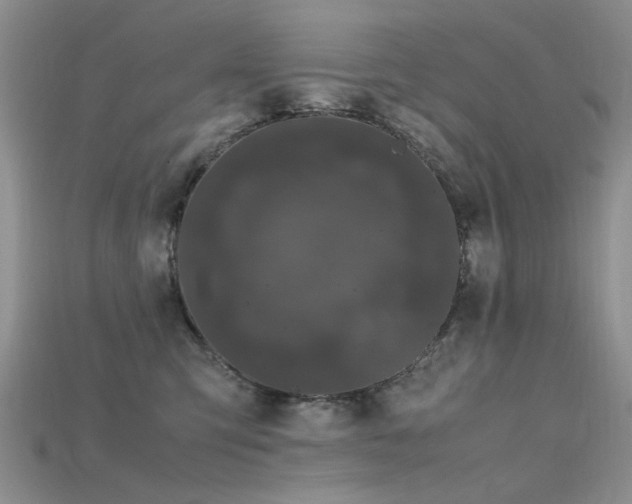 X0000115720423200911121455