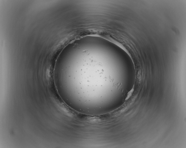 X0000115720424200911121455