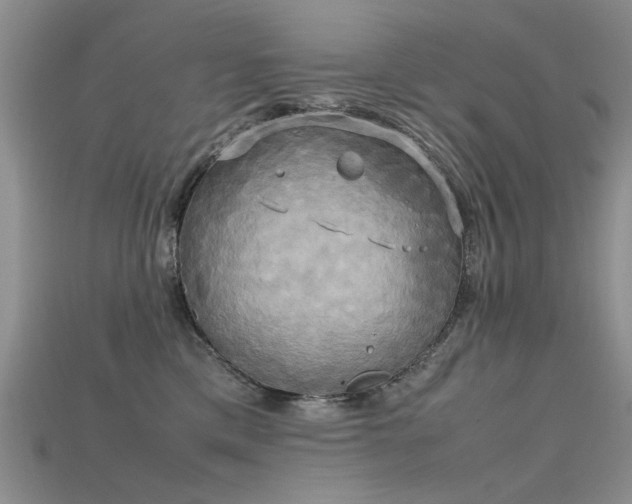 X0000115720425200911121455