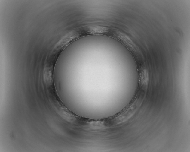 X0000115720426200911121455