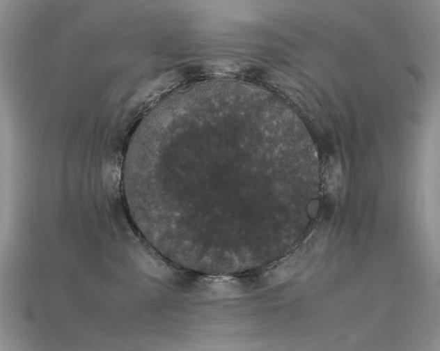 X0000115720427200911121455