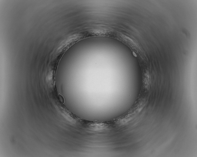 X0000115720428200911121455