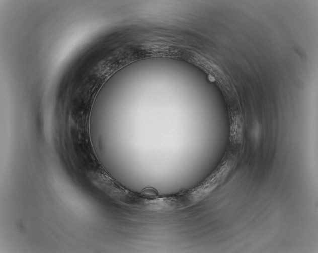 X0000115720430200911121455