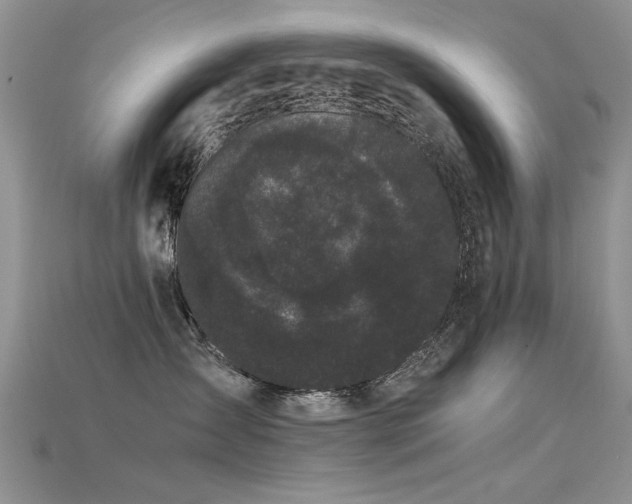 X0000115720431200911121455