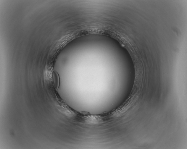 X0000115720432200911121455