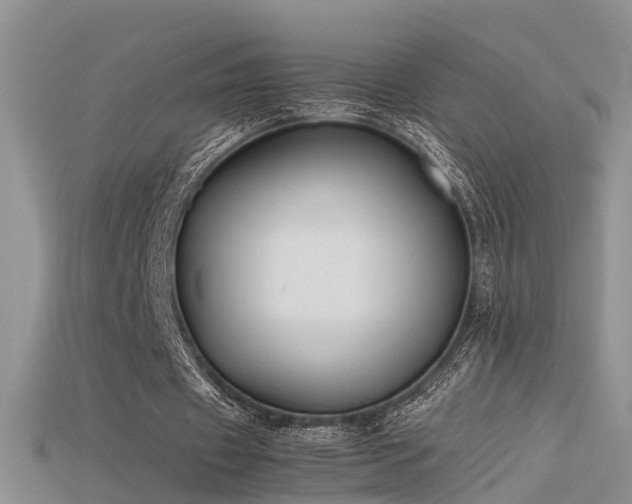 X0000115720433200911121454