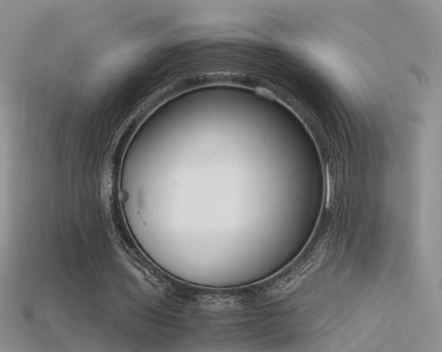 X0000115720435200911121454