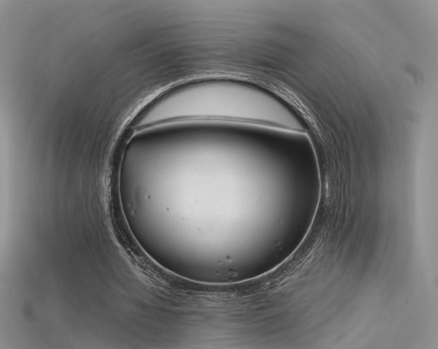 X0000115720436200911121454