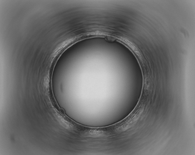 X0000115720437200911121454