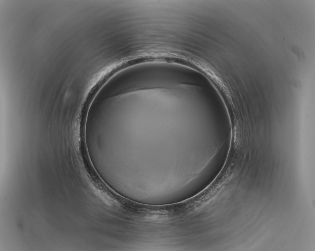 X0000115720438200911121454