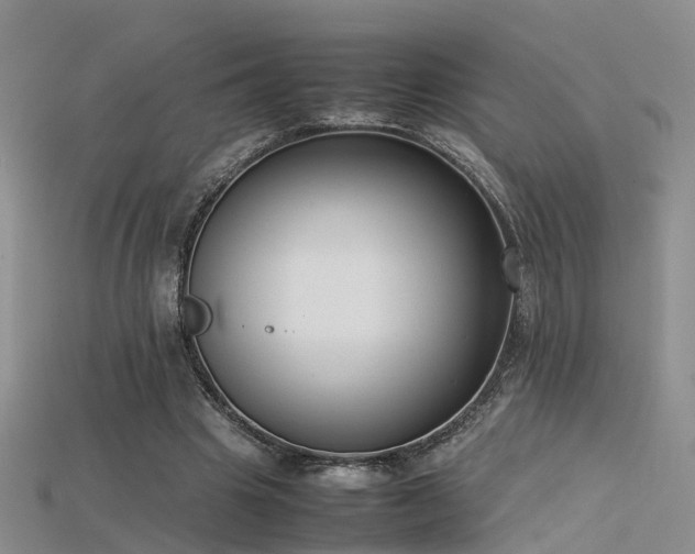 X0000115720441200911121454