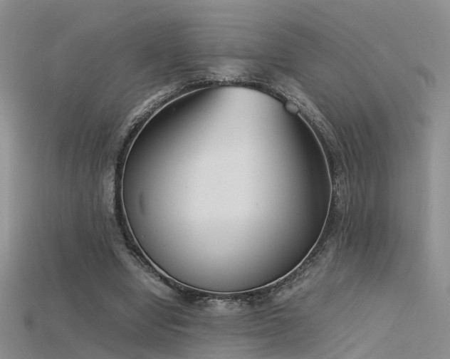 X0000115720442200911121454