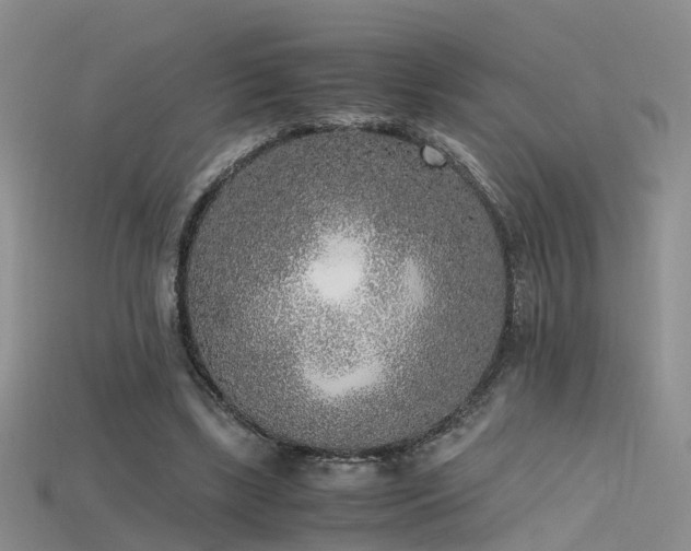 X0000115720443200911121454