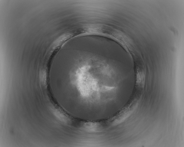 X0000115720444200911121454
