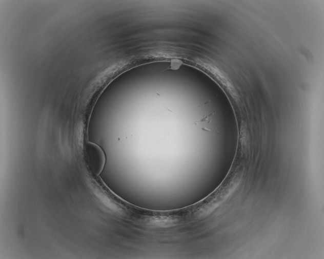 X0000115720445200911121454