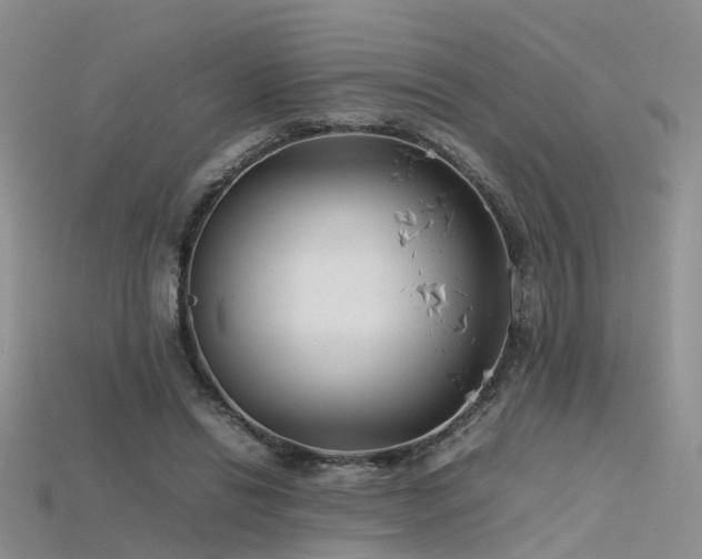 X0000115720446200911121454