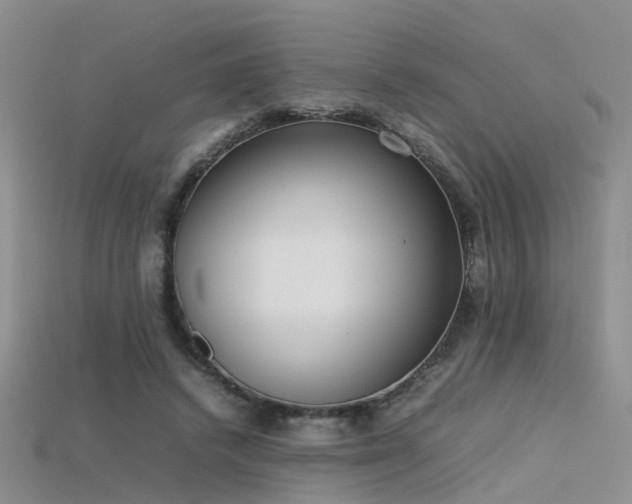 X0000115720448200911121454