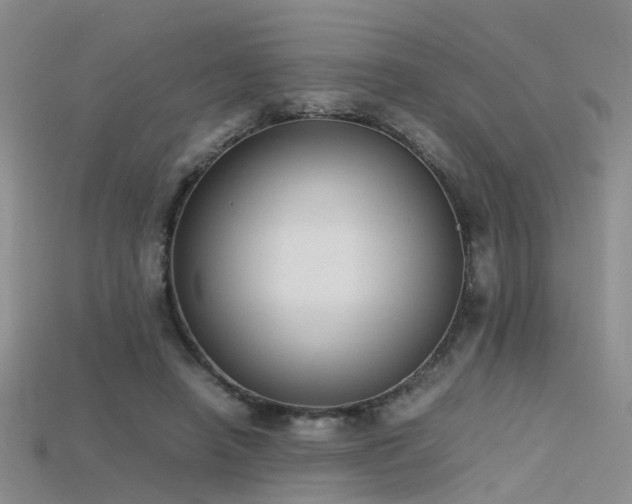 X0000115720450200911121454