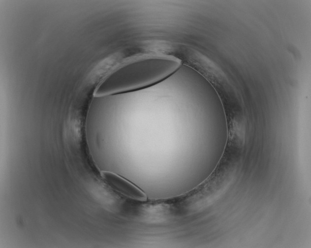X0000115720452200911121454