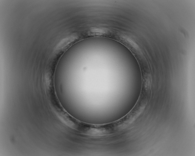 X0000115720455200911121454