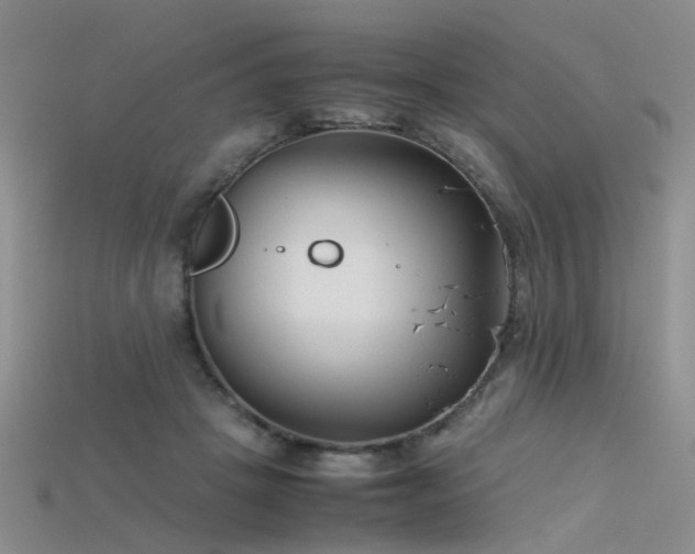 X0000115720457200911121454