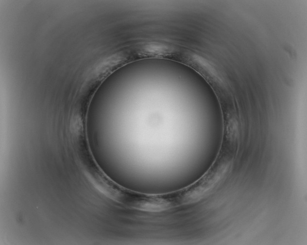 X0000115720459200911121454