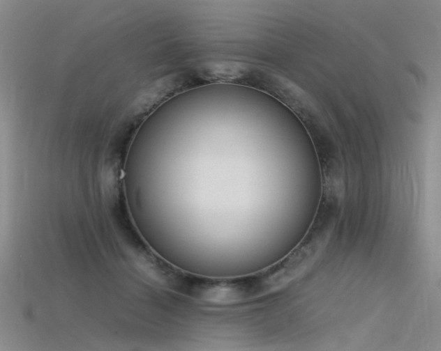 X0000115720460200911121454