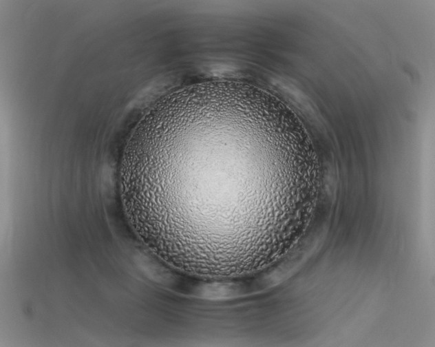 X0000115720461200911121454