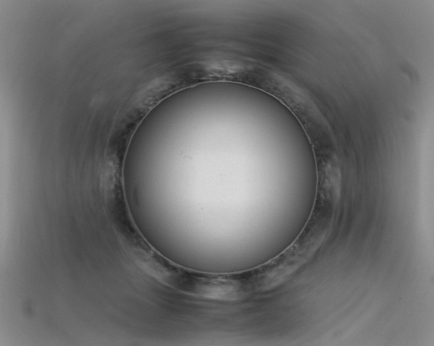 X0000115720463200911121454