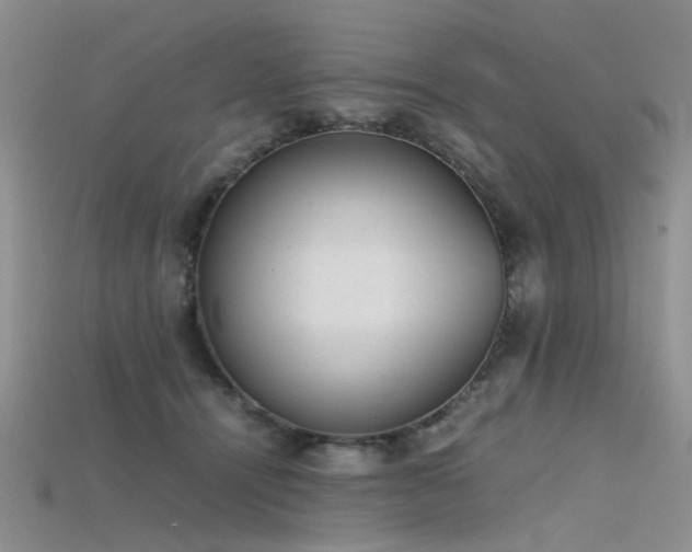 X0000115720464200911121454