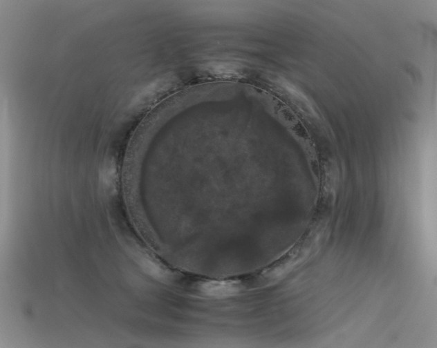 X0000115720465200911121454