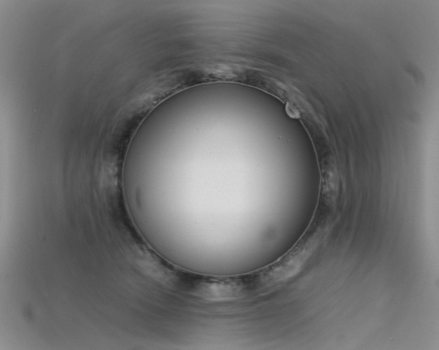 X0000115720466200911121454