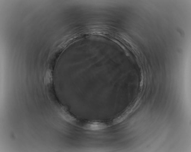 X0000115720467200911121454