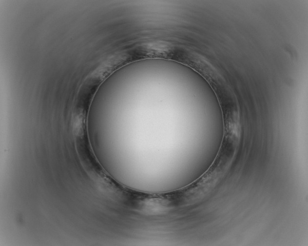 X0000115720468200911121454